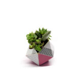 OriBon Classic Collection – Origami Plant Pot with BIO Microgreen Included