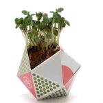 OriBon Modern Collection – Origami Plant Pot with BIO Microgreen Seeds Included