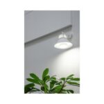 Airam LED plant lamp PAR20 6 W E14 in use