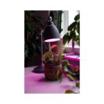 Airam LED plant lamp filament 5 W E27 in use