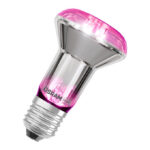 Osram LED Grow R63 filament 7.5 W E27 grow spot