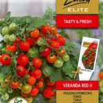 Dwarf tomato 'Veranda Red' F1 seed packet with a compact potted plant full of red cherry tomatoes