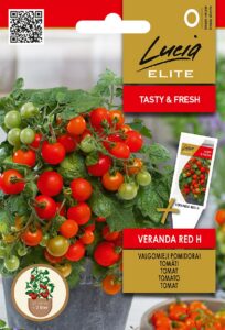 Dwarf Tomato 'Veranda Red' F1 Seeds (Solanum lycopersicum) – Early Red Cherry Hybrid for 2 L Pots, Balconies & Tall Smart Gardens – Compact 50cm Plant – 15g Fruits – 10 Seeds